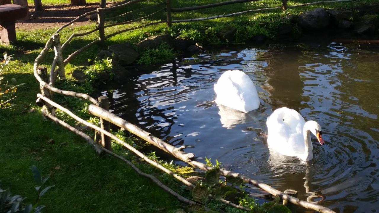 Ferienwohnung Schulze Stadtilm Exteriör bild
